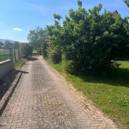 Διαμέρισμα Aux Ecuries Cerio Saint-Hippolyte (Haut-Rhin)